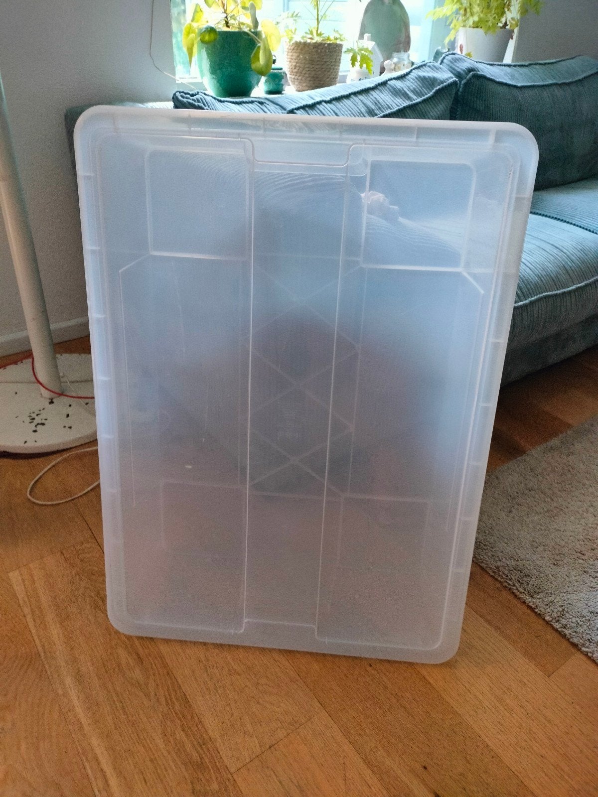 bedbox, opbergvak voor onder het bed, Doe-het-zelf en Verbouw, Ophalen
