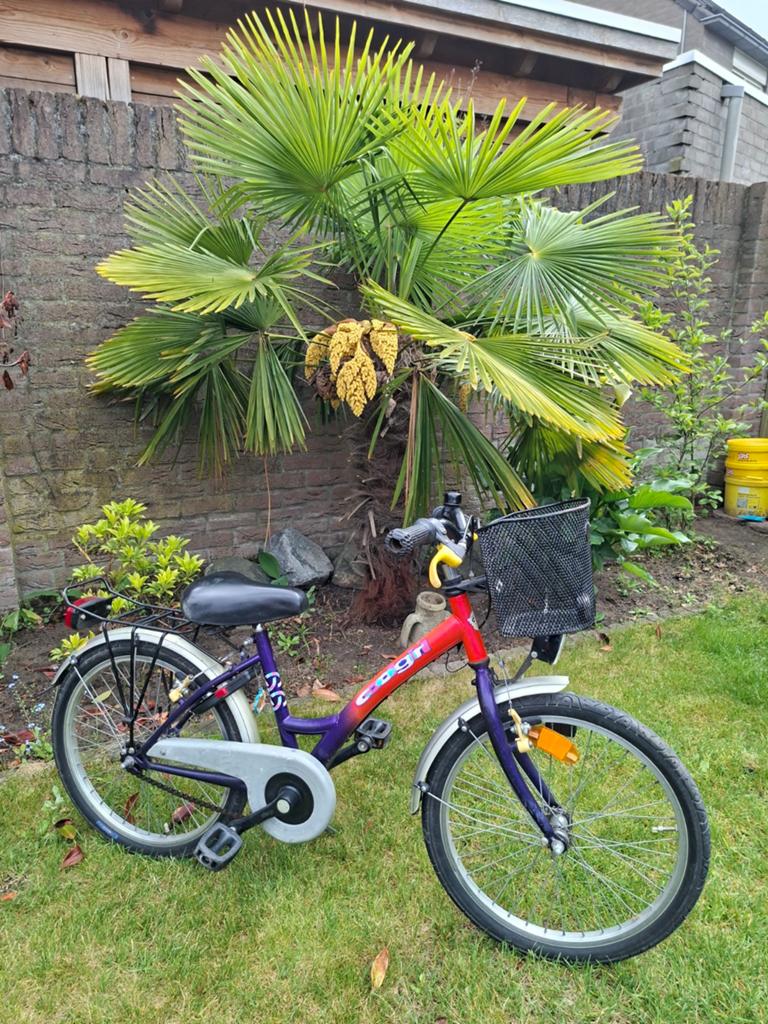 Fiets met mandje kinderfiets, Fietsen en Brommers, Fietsen | Meisjes, Ophalen, Gebruikt, 20 inch