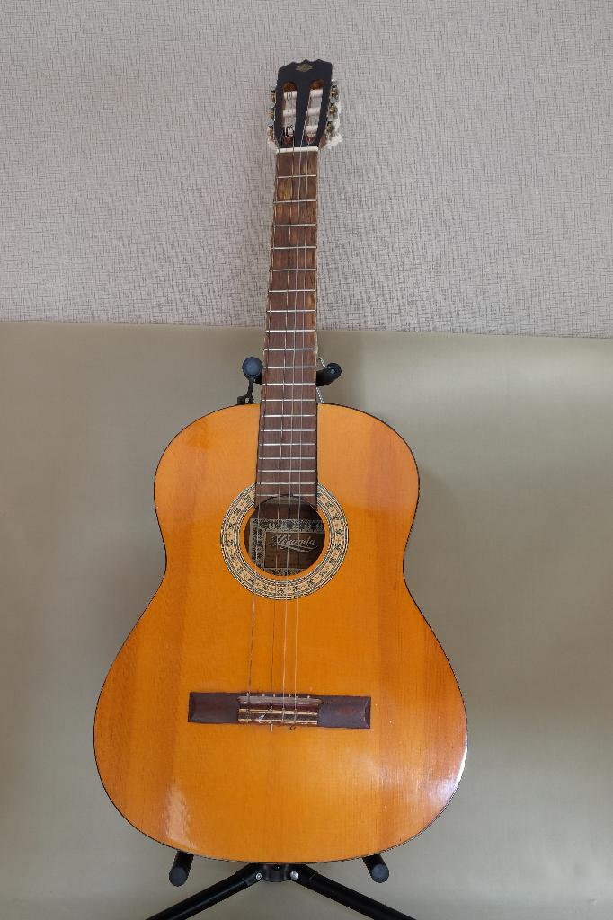 gitaar Leyanda Hohner  type LC10, Ophalen of Verzenden, Zo goed als nieuw, Klassieke of Spaanse gitaar