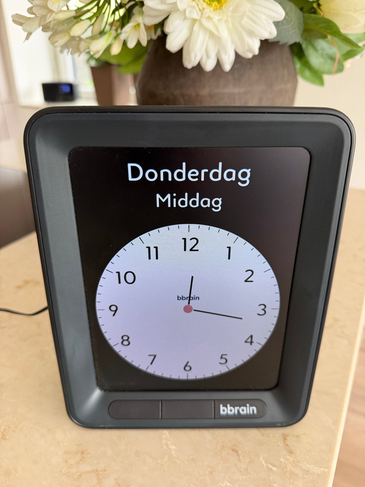 Bbrain Dagklok met Netvoedingsadapter - Zwart, Ophalen, Gebruikt, Werkt op batterijen, Analoog en Digitaal