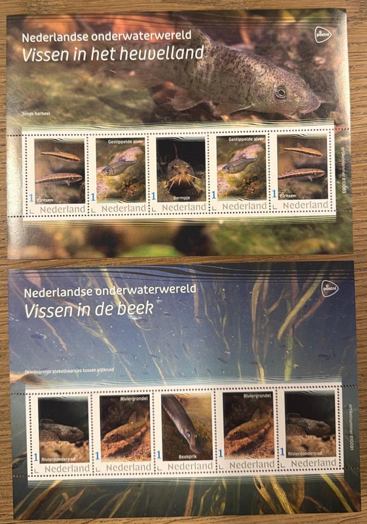 Postzegels pf. Nederlandse Onderwaterwereld. Vissen, Ophalen of Verzenden, Na 1940, Postfris