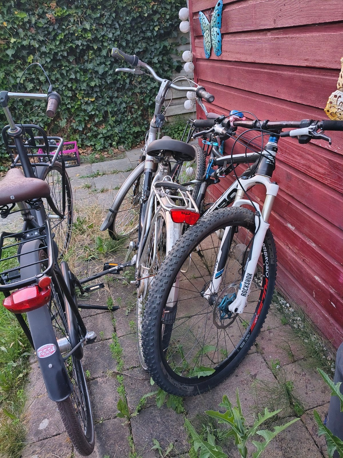 Twee fietsen: Gazelle en Avalon, Fietsen en Brommers, Fietsen | Dames | Damesfietsen, Ophalen, Terugtraprem, Versnellingen, Gazelle