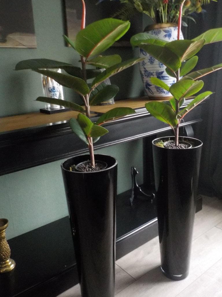 vaas 2x zwarte glasvaas voor bloesemtak of kerstdeco, Ophalen, Zo goed als nieuw, Zwart, Glas