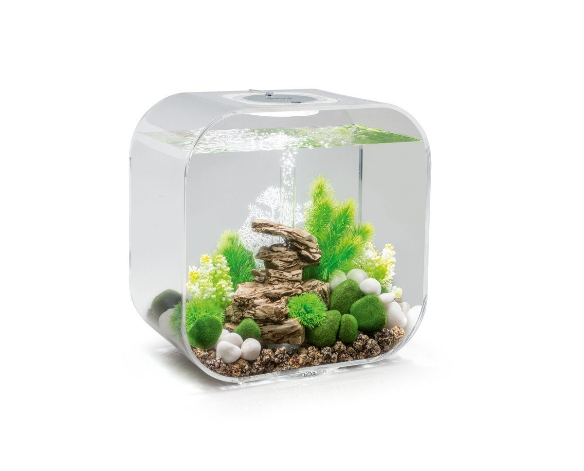 Biorb aquarium, Ophalen of Verzenden, Gevuld zoetwateraquarium