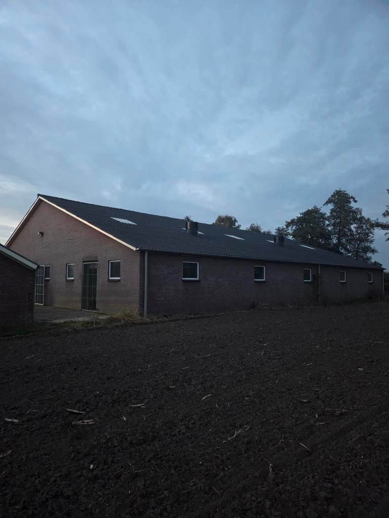 golfplaten dak te koop, Ophalen of Verzenden
