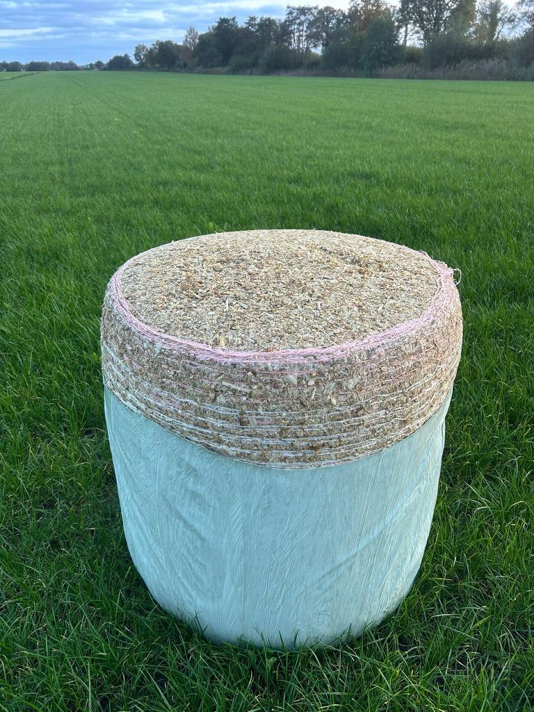 Mais midi balen, Ophalen, Vee