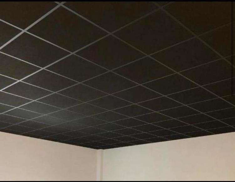 Systeemplafond vanaf € 18,—, Doe-het-zelf en Verbouw, Platen en Panelen, Ophalen, Nieuw, Overige materialen