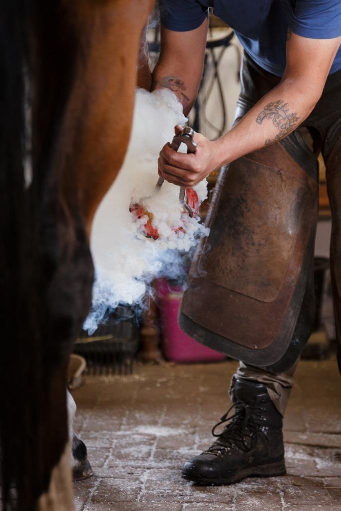 Gediplomeerd hoefsmid, Verzorging of Verzorgpony's