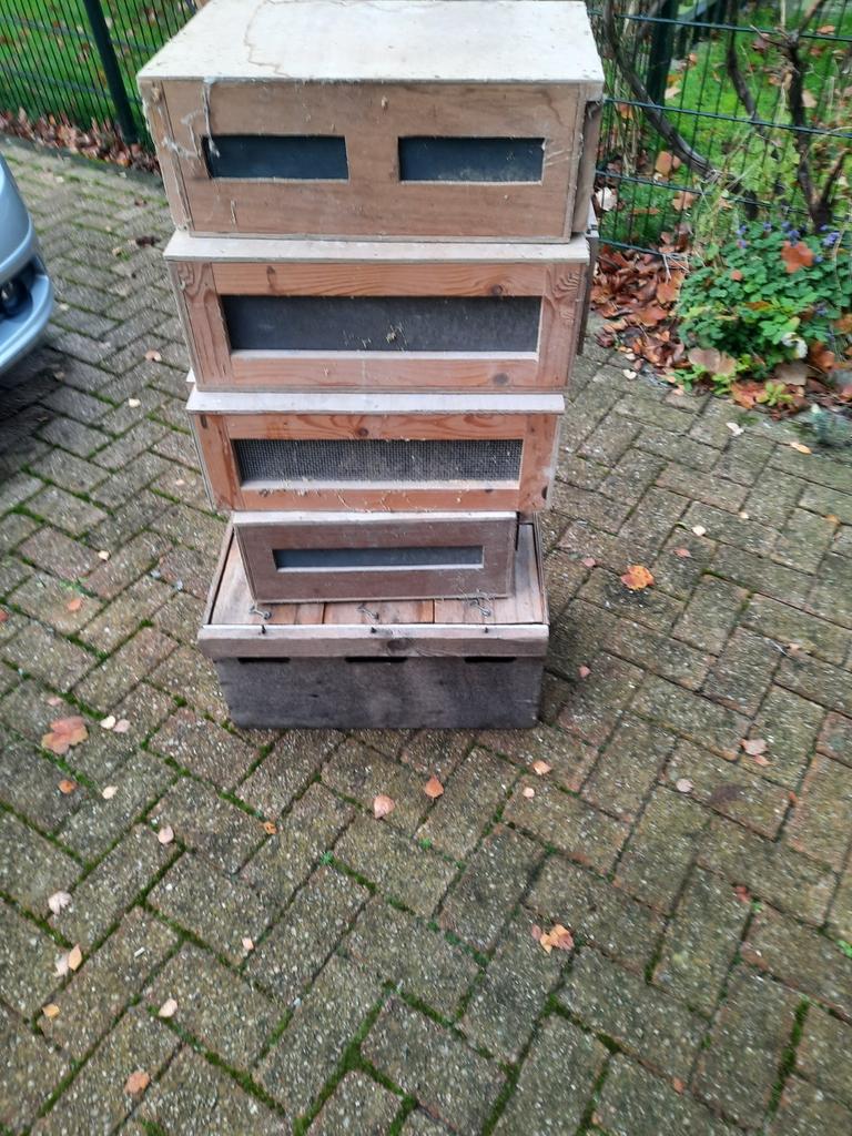 Vervoer bakken kippen en duiven, Dieren en Toebehoren, Ophalen, Drinken en Voederen