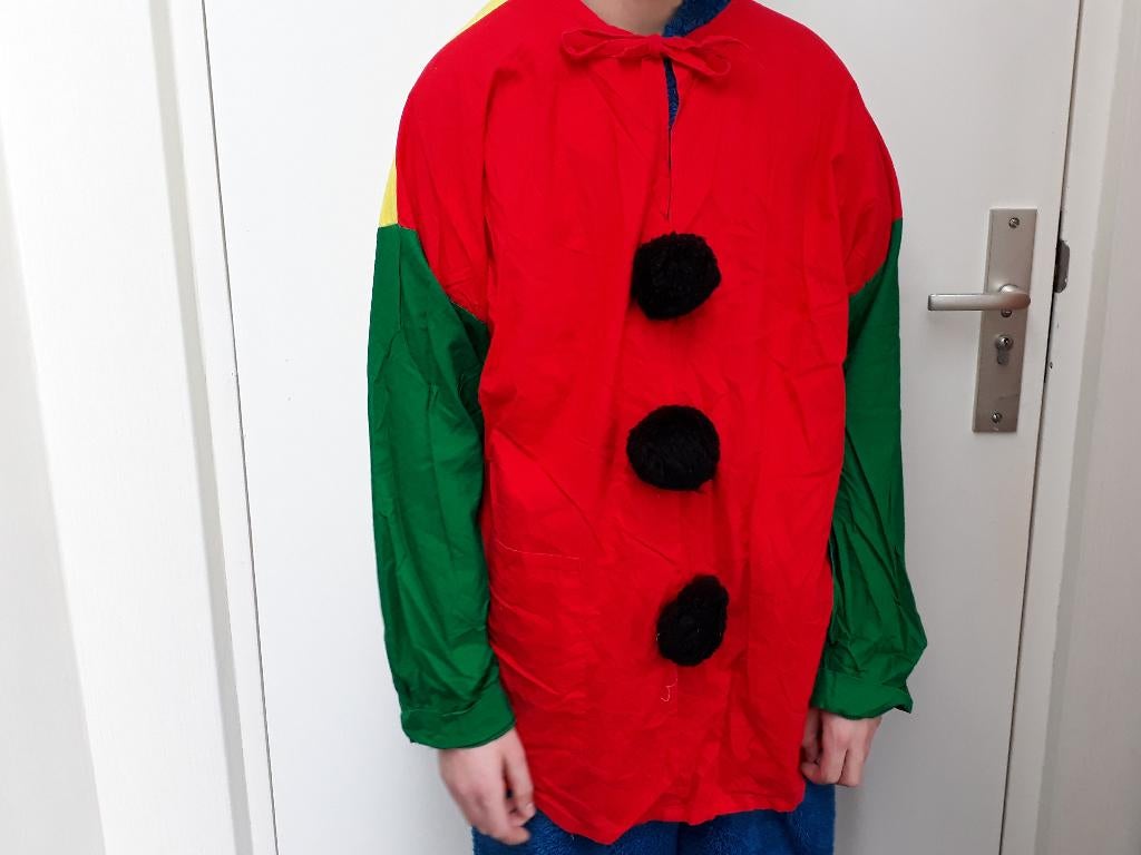 Hes /shirt / kiel carnaval rood / geel / groen maat XL / XXL, Carnaval, Maat 56/58 (XL), Ophalen of Verzenden, Kleding