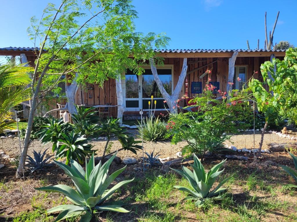 Aruba vakantiewoning, Vakantie, Vakantiehuizen | Nederlandse Antillen, Wasmachine, Aruba, Appartement, Landelijk