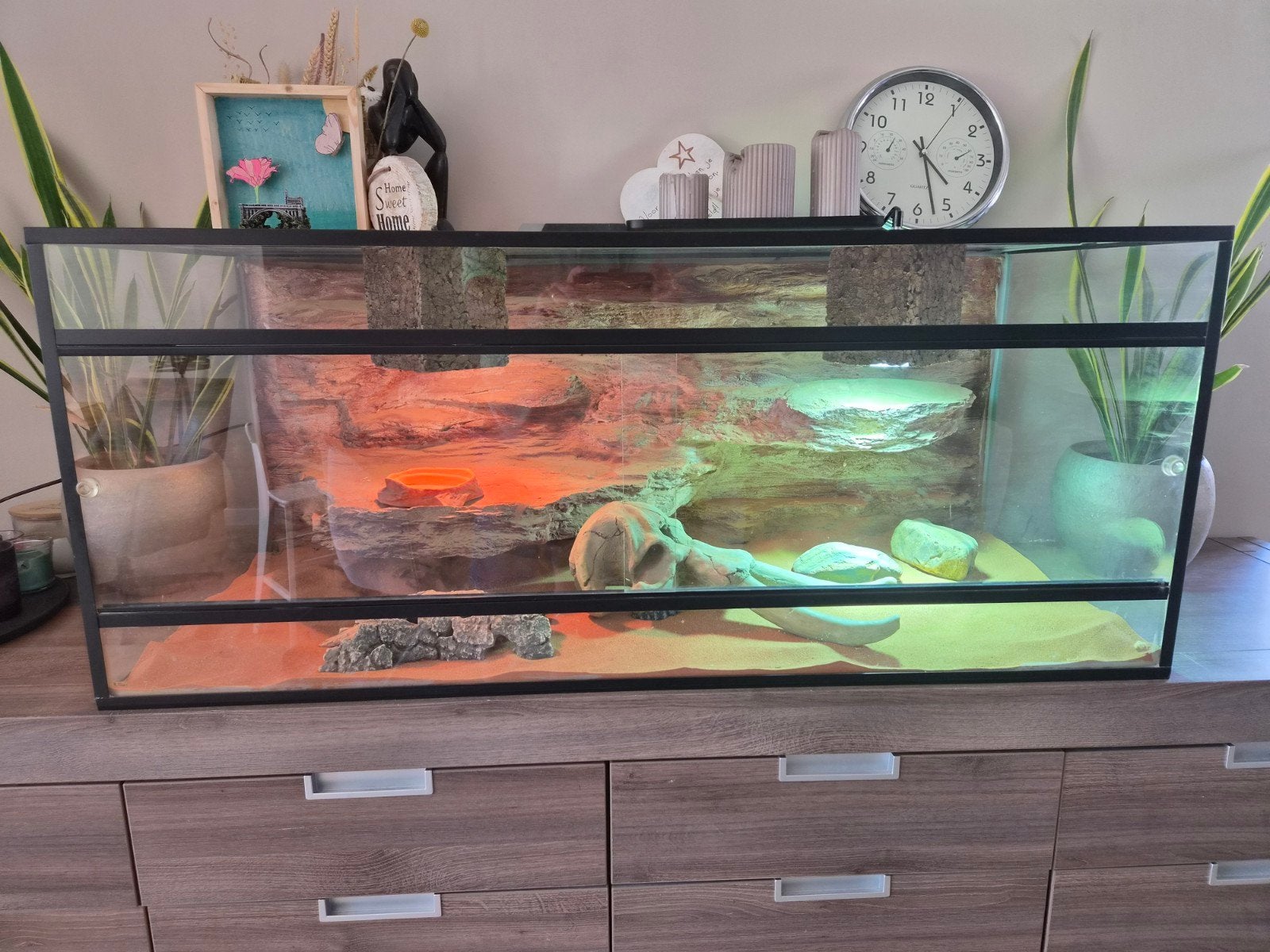 Terrarium 118x50x50 incl aankleding, Ophalen, Gebruikt