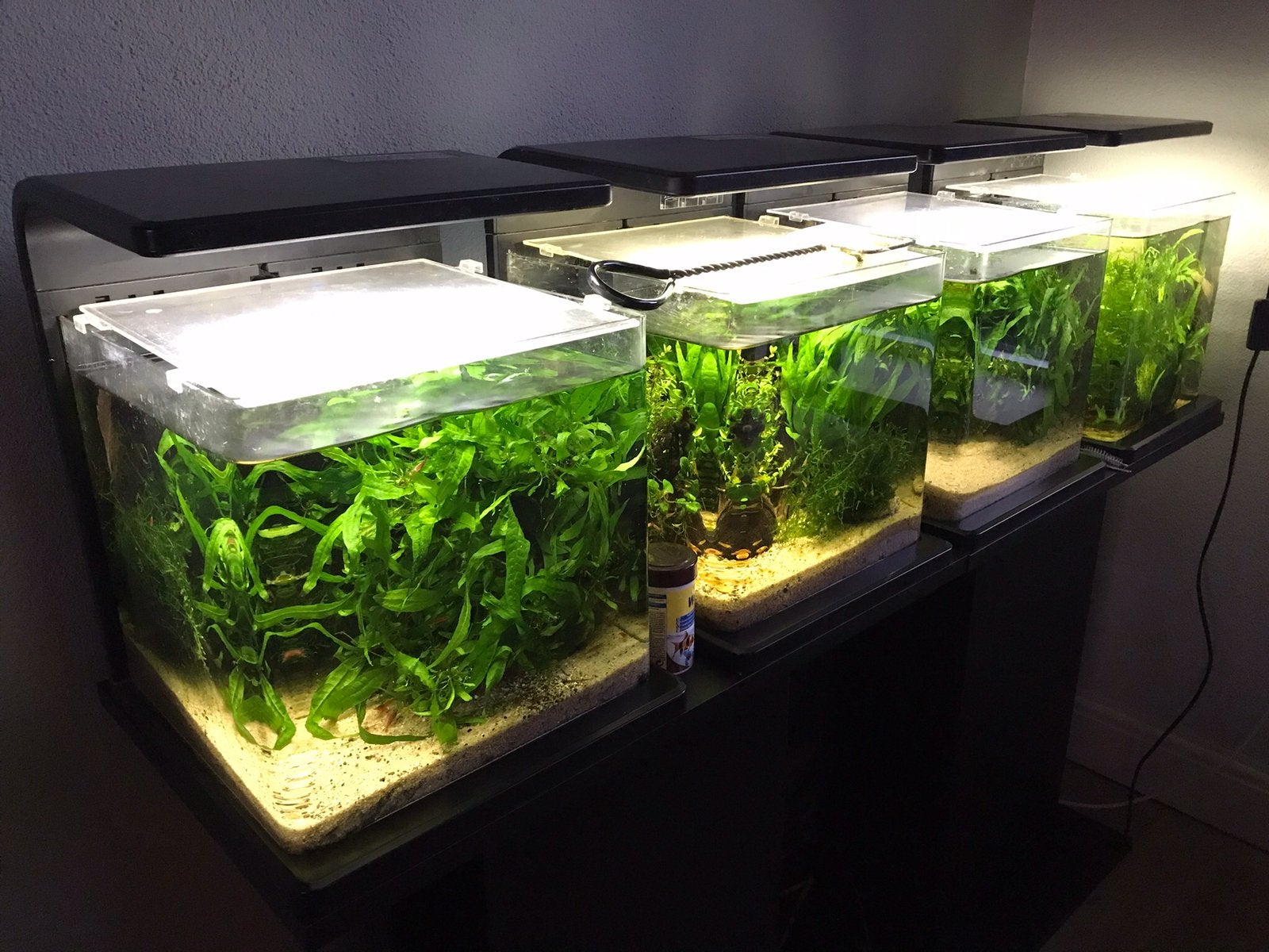 Superfish Wave 15 ltr. met techniek., Ophalen of Verzenden, Zo goed als nieuw, Leeg aquarium