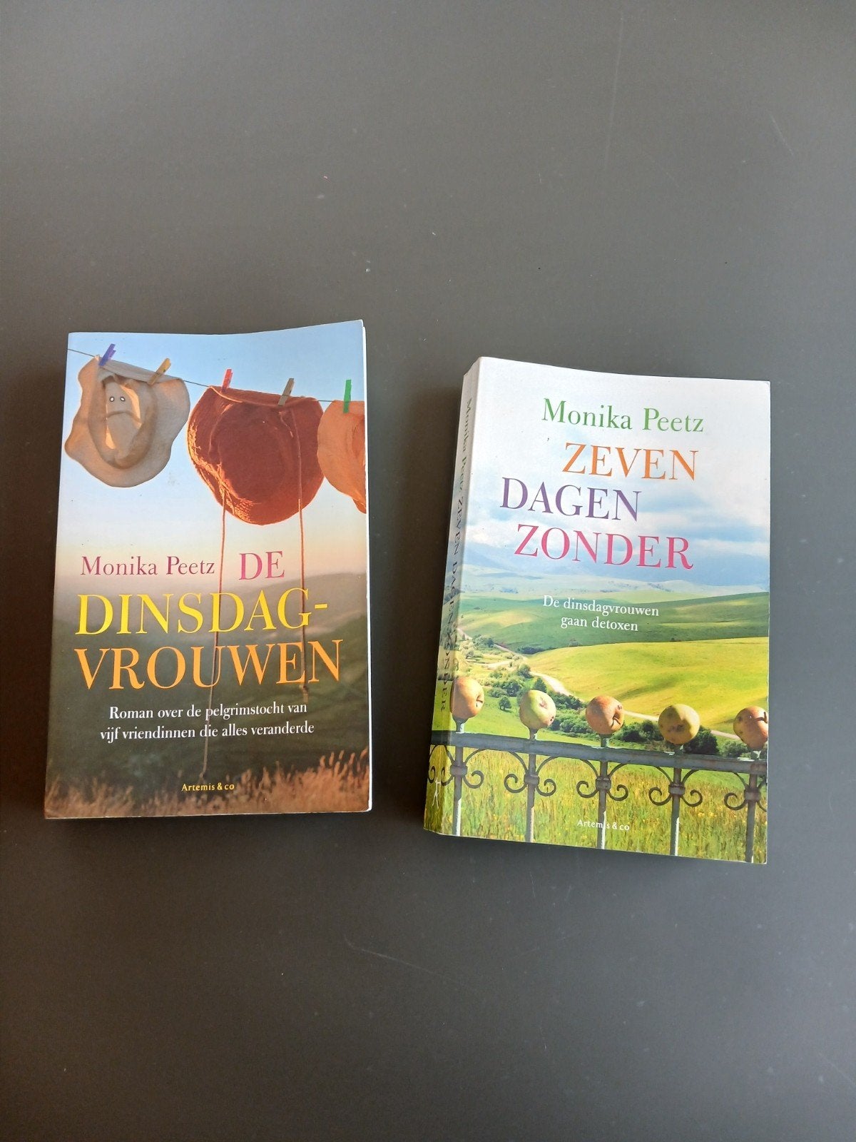 Monika Peetz - Zeven Dagen Zonder & De Dinsdagvrouwen, Boeken, Ophalen of Verzenden, Gelezen, Monika Peetz, Nederland