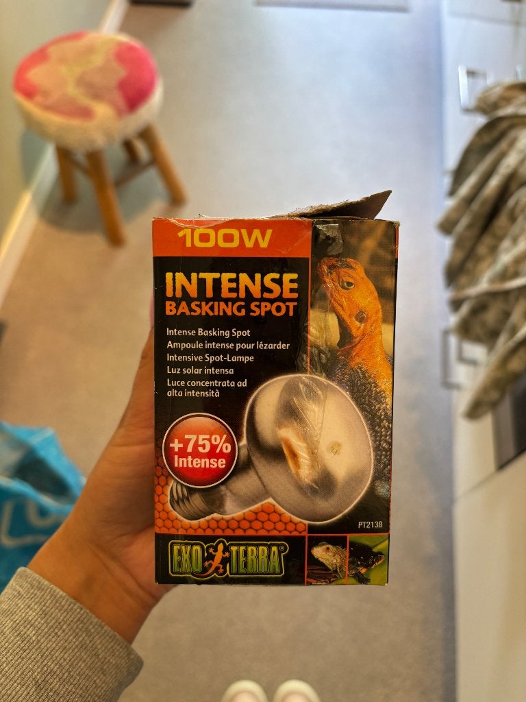 Lamp reptiel, Dieren en Toebehoren, Ophalen of Verzenden, Gebruikt, Verlichting