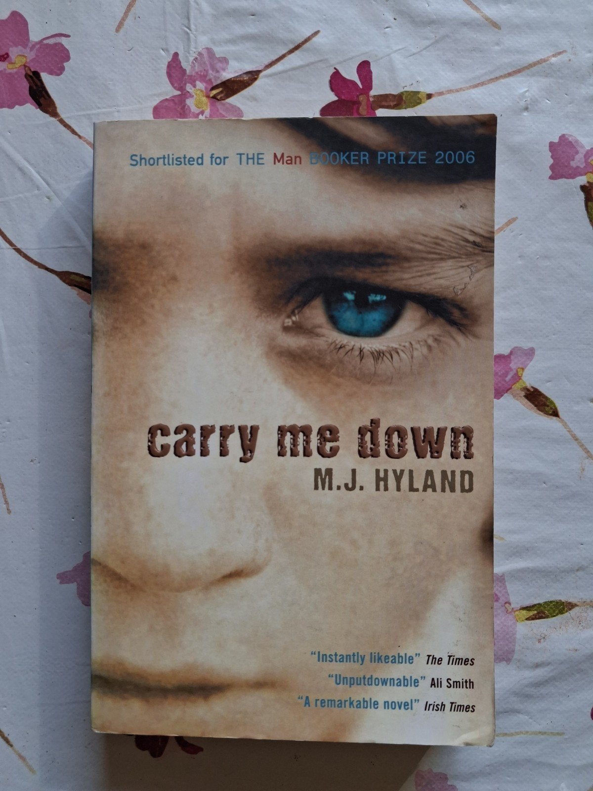 Carry me down, Europa overig, Ophalen of Verzenden, Zo goed als nieuw, M.J. Hyland