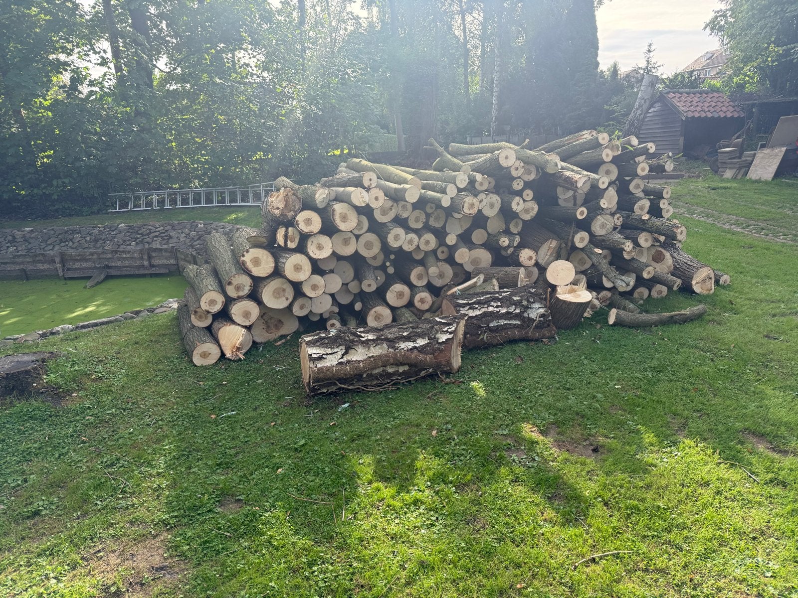 Kachelhout: Wilg, Berk en Es - ca. 15 m³, Tuin en Terras, 6 m³ of meer, Ophalen of Verzenden, Berkenhout, Stammen