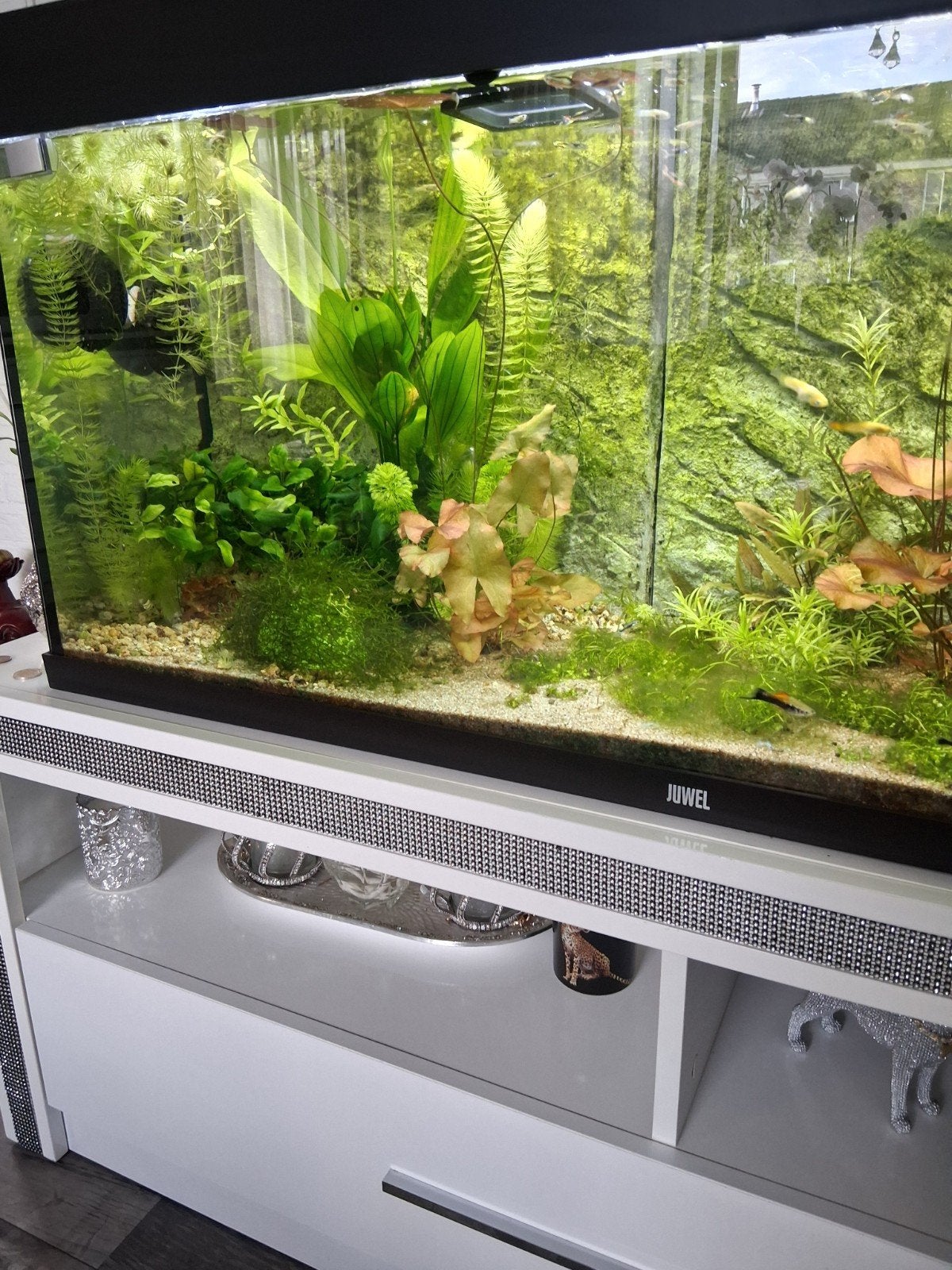 aquarium juwel zonder onderkast, Ophalen, Zo goed als nieuw, Leeg aquarium, Inclusief toebehoren