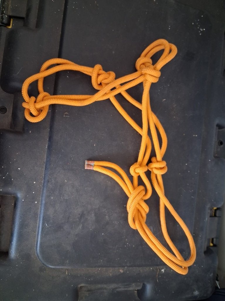 Touwhalster en gewone halsters te koop voor een Prijsje!, Gebruikt, Overige disciplines, Meerkleurig, Ophalen of Verzenden