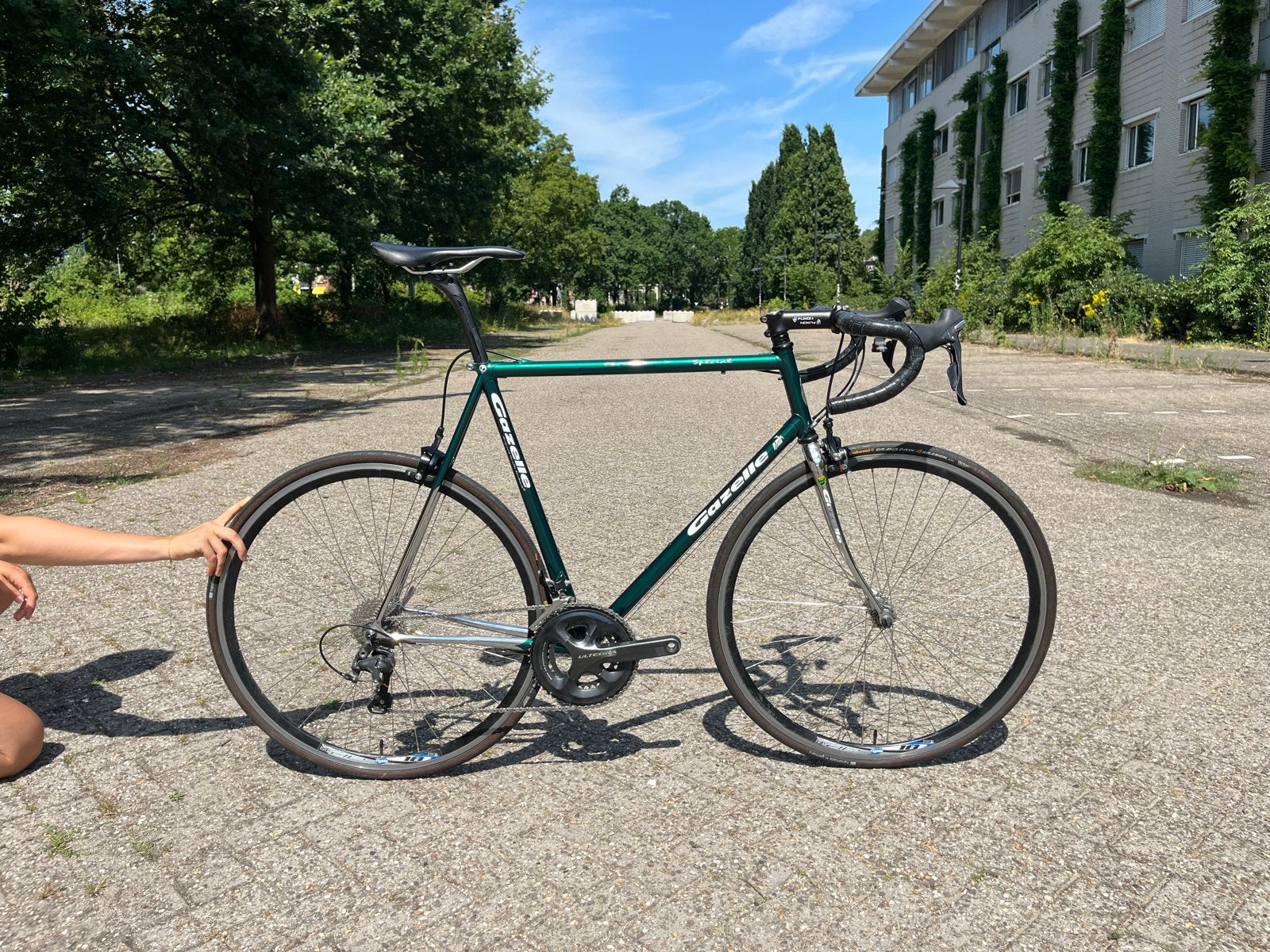 Gazelle special racefiets, maat 59, Ophalen, 28 inch, Staal, Zo goed als nieuw