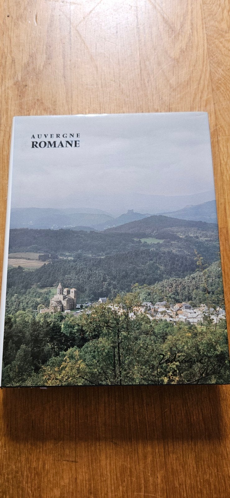 Auvergne Romane - Reisgids over de Auvergne, Boeken, Overige merken, Europa, Ophalen of Verzenden, Zo goed als nieuw