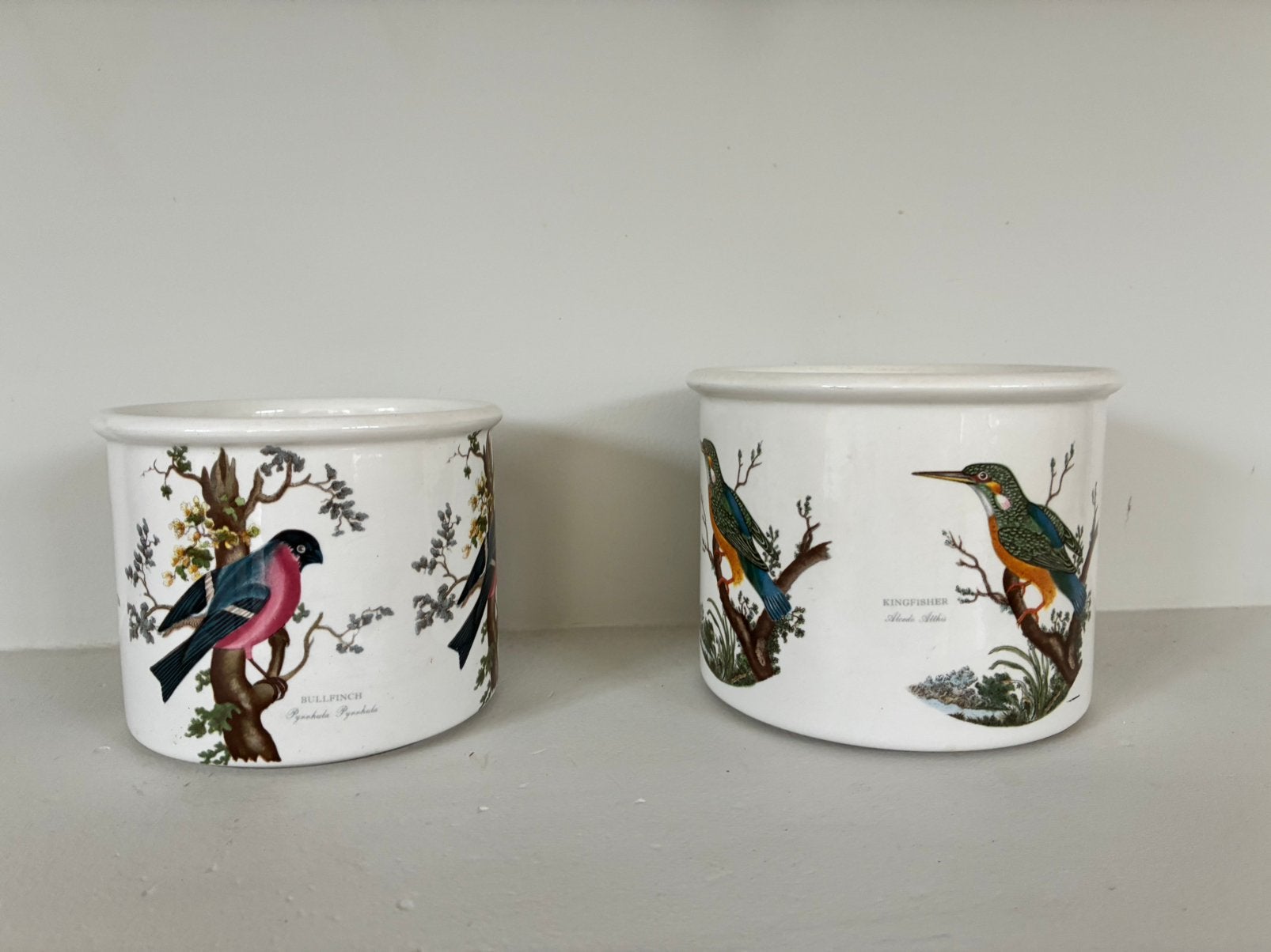 2 bloembotten van Portmeirion Birds of Britain, Antiek en Kunst, Antiek | Porselein, Ophalen of Verzenden