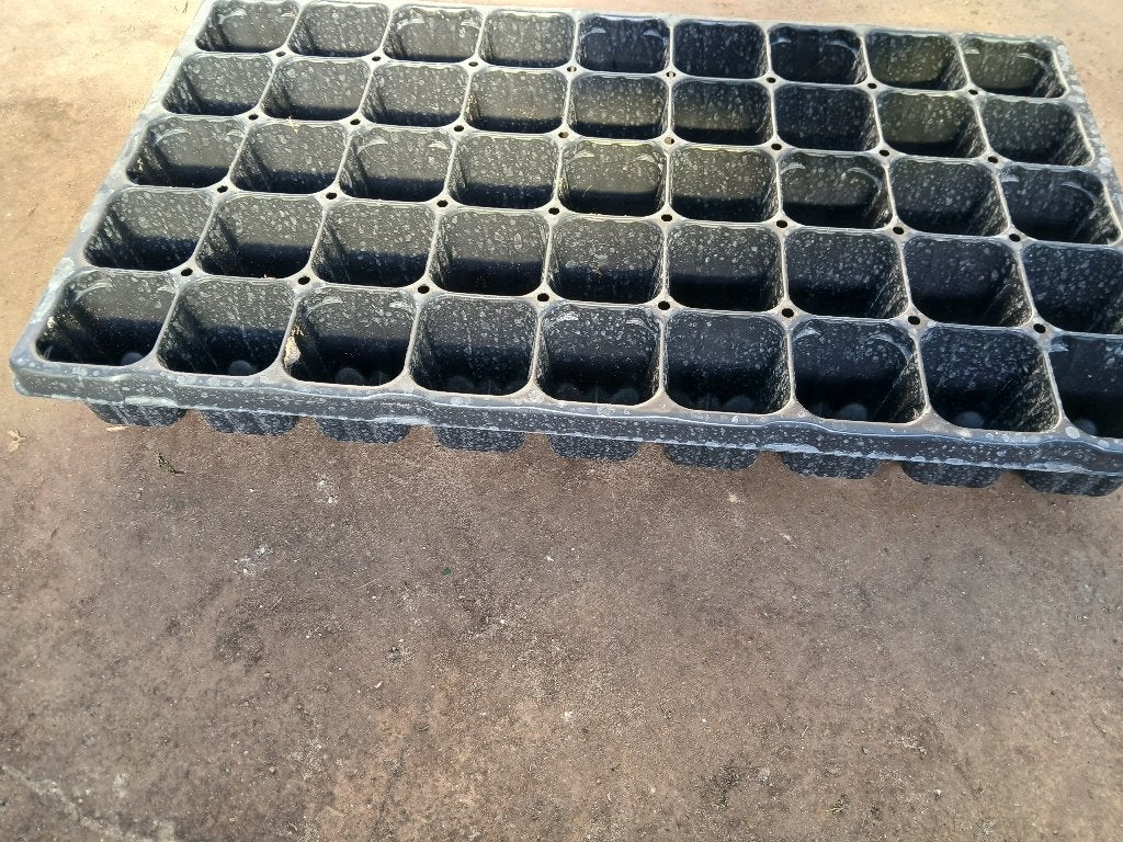 kweektrays met vakjes van 5,5cm 45 vakjes zaaitrays, Kunststof, Vierkant, Ophalen of Verzenden, Zo goed als nieuw