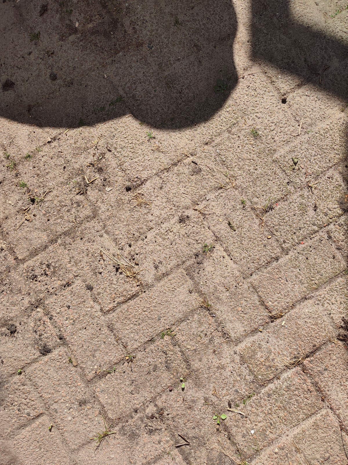 12 m2 terras klinkers gratis afhalen, Ophalen, Gebruikt, Beton, Klinkers