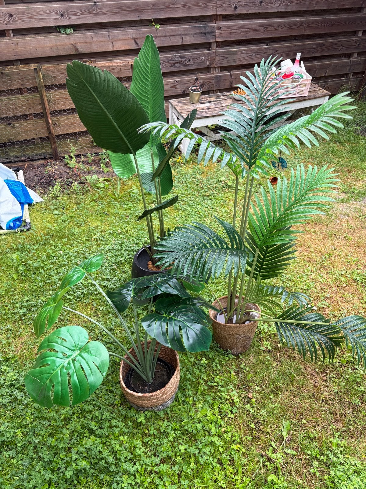 Set van 3 kunstplanten: Monstera, Palm en Strelitzia, Vaste plant, Bloeit niet, Volledige schaduw, Ophalen