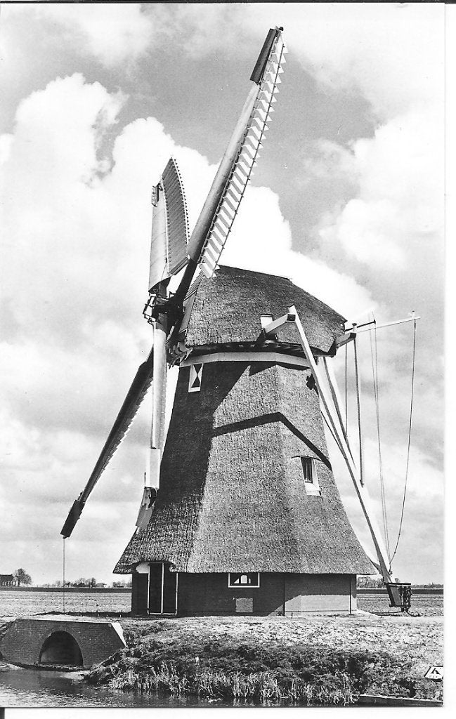 Ansichtkaart Molen De Phoenix Bedum (Gr.), Ophalen of Verzenden, 1960 tot 1980, Ongelopen, Groningen