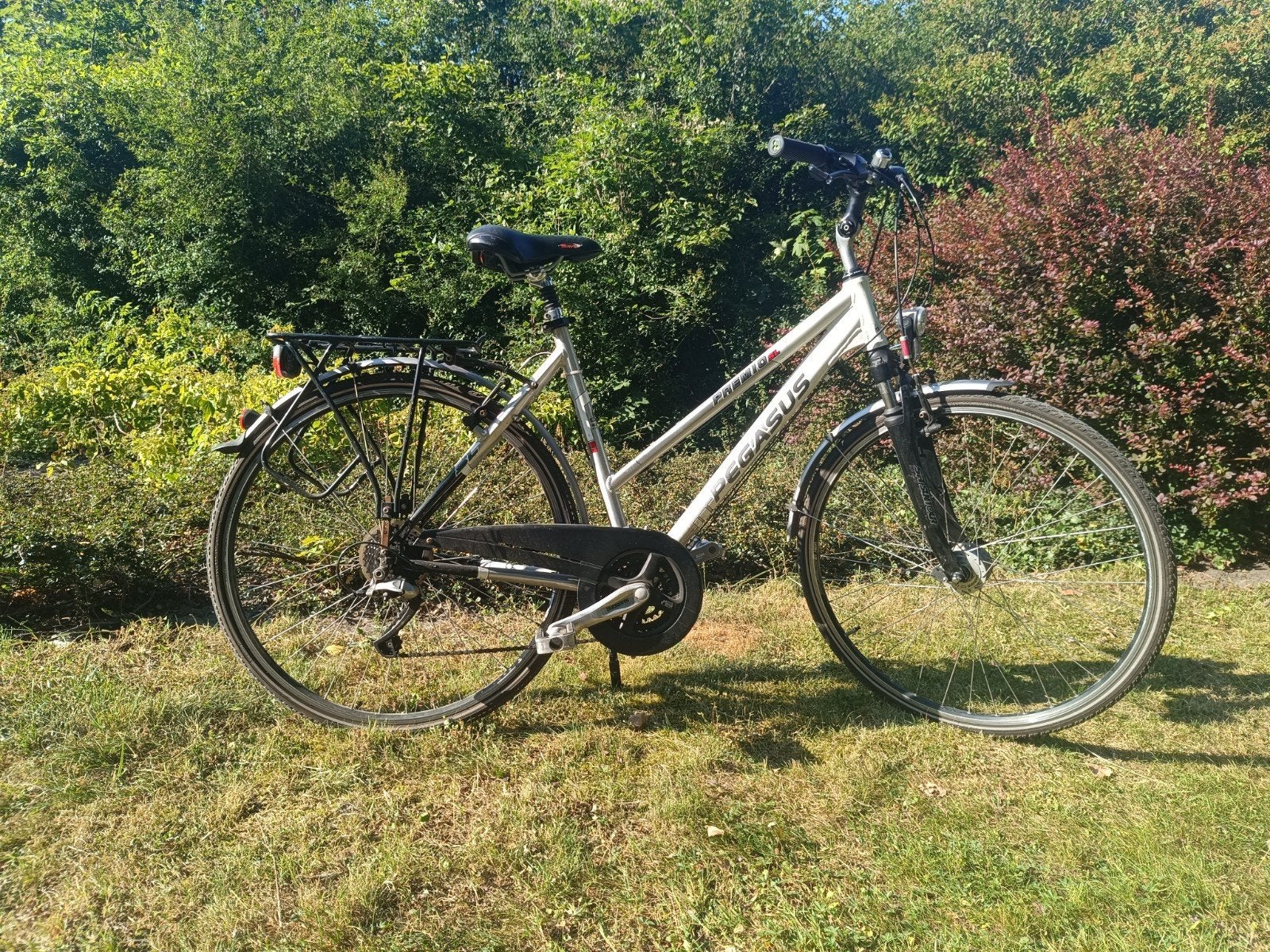 Pegasus Premio SL | Shimano Deore XT | 53 cm | New Tires, 28 inch, Velgrem, Meer dan 20 versnellingen, Ophalen