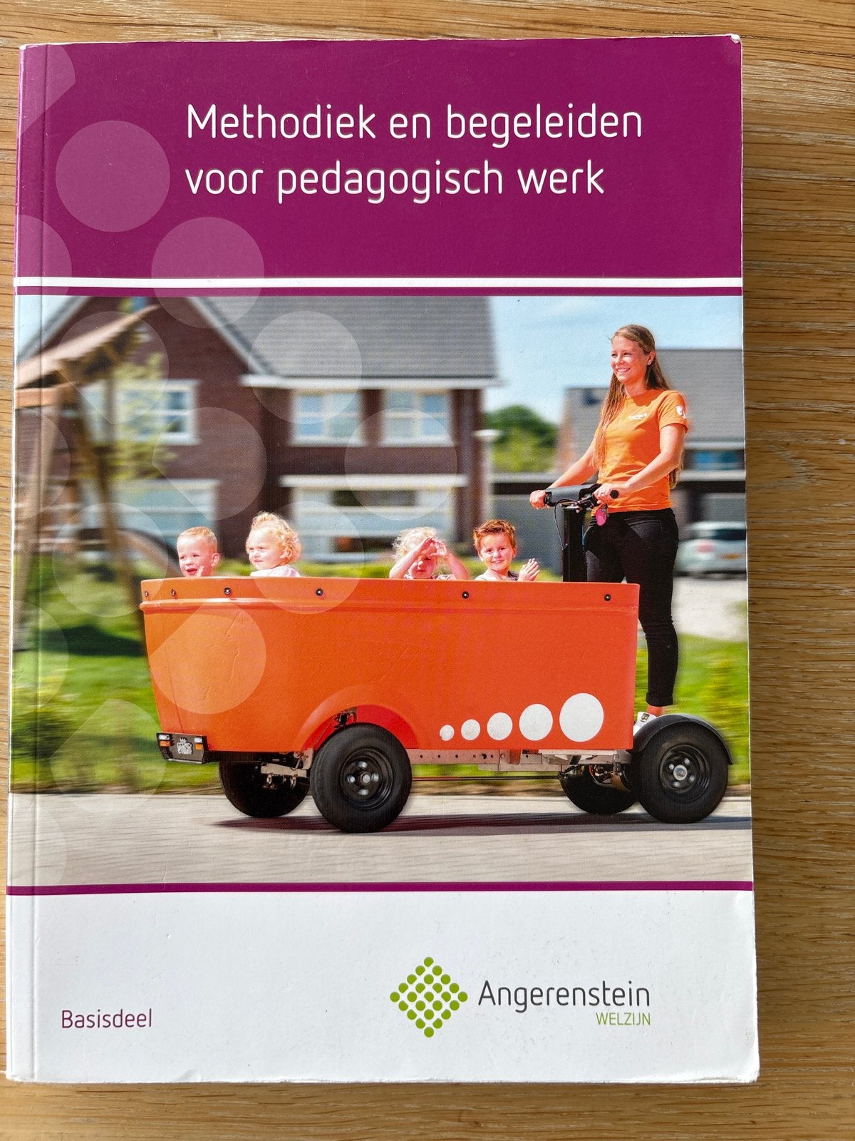 Methodiek en begeleiden voor pedagogisch werk, Boeken, Ophalen of Verzenden, Gamma, Zo goed als nieuw, MBO