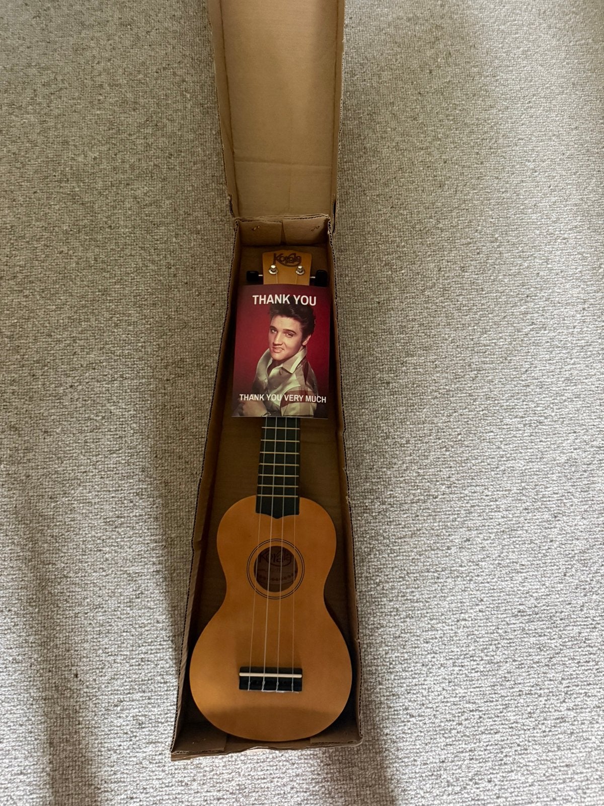 Ukelele, Muziek en Instrumenten, Snaarinstrumenten | Overige, Ophalen of Verzenden, Nieuw, Ukelele