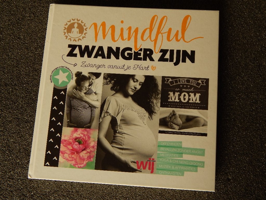 Mindful zwanger zijn, Ophalen of Verzenden, Zo goed als nieuw, Zwangerschap en Bevalling