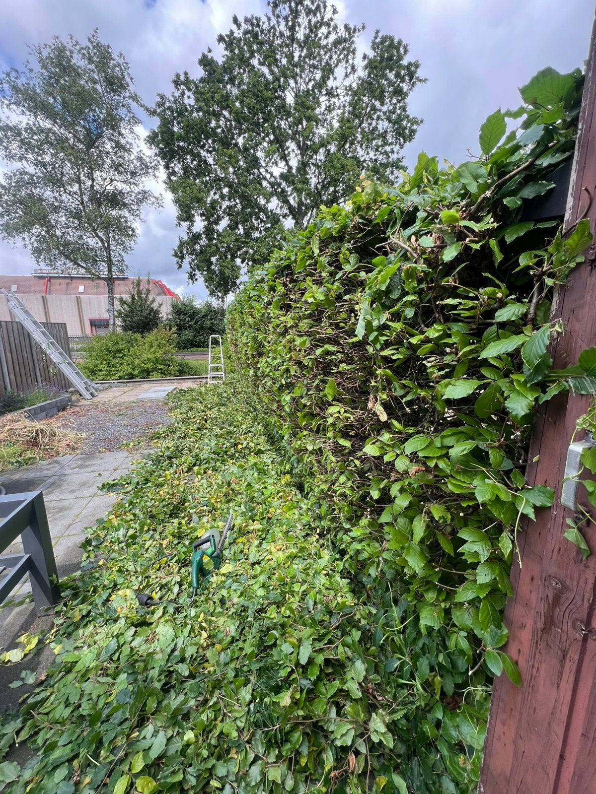 Tuinman aangeboden / Hovenier / Tuinonderhoud, Ophalen of Verzenden, Zomer, Volle zon, Overige soorten