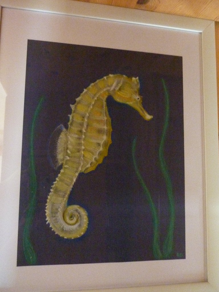 Zeepaardje, Ophalen, Realistisch, Dieren, Origineel werk