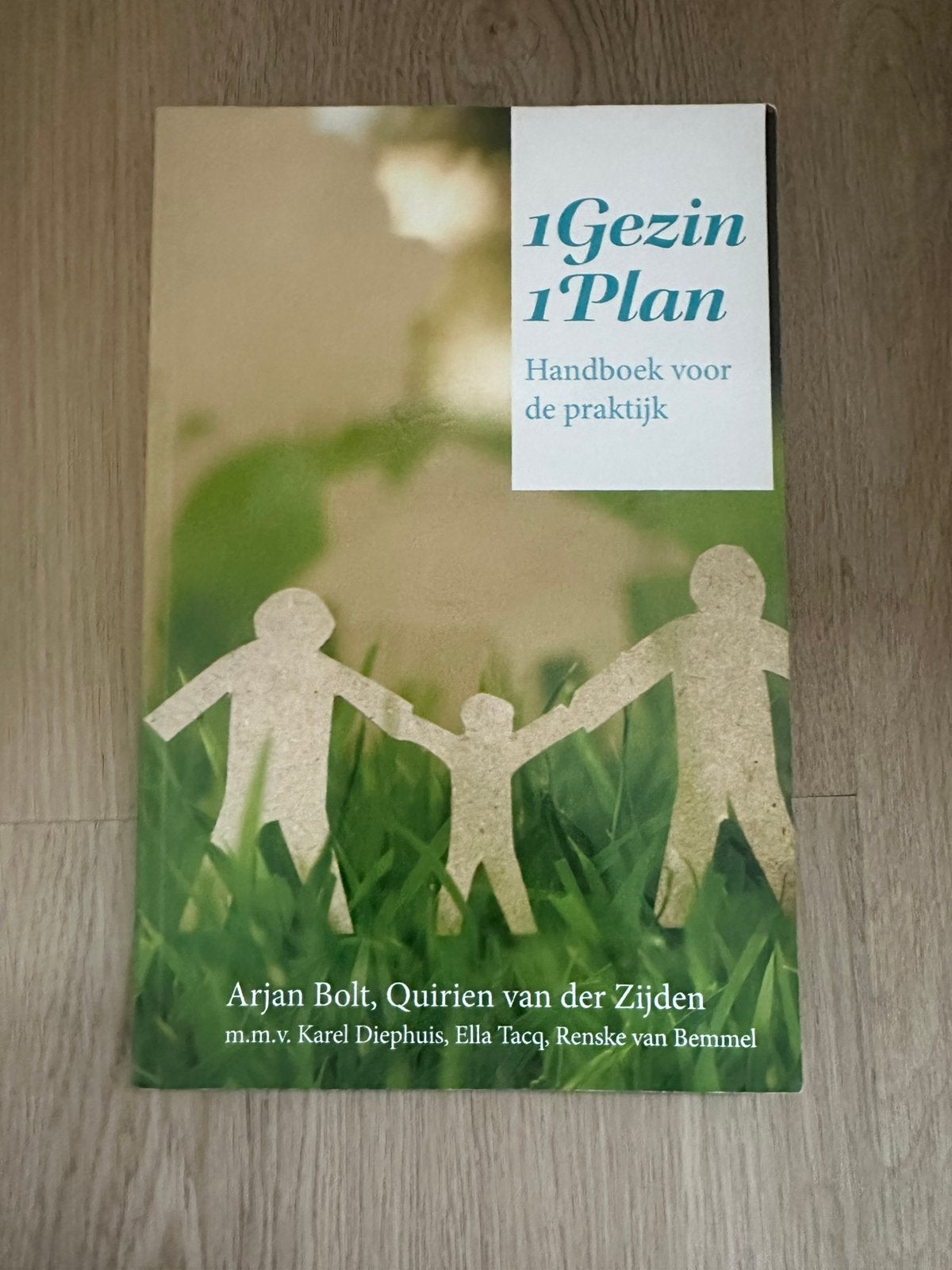 1Gezin1Plan | Handboek voor de praktijk | Arjan Bolt, Boeken, Ophalen of Verzenden, Alpha, Zo goed als nieuw, HBO