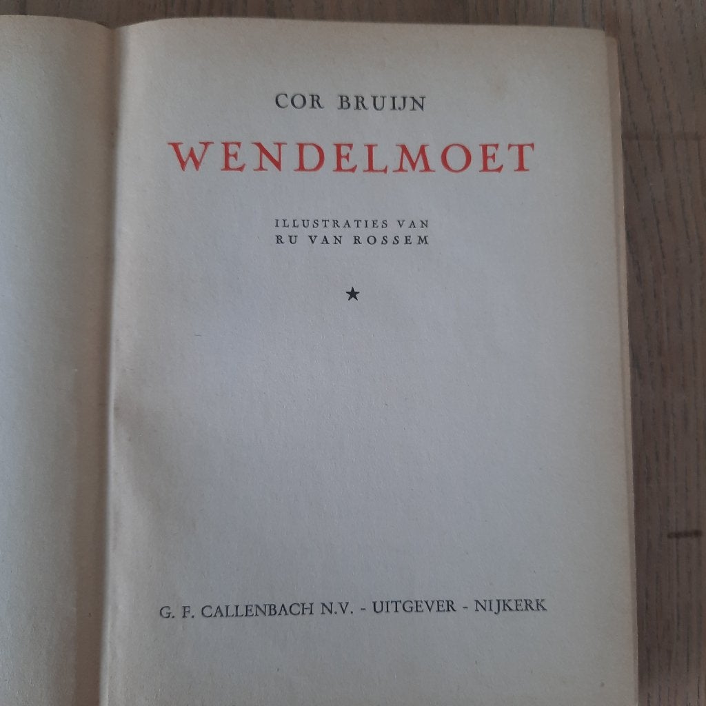 Wendelmoet cor bruijn, Ophalen of Verzenden, Gelezen
