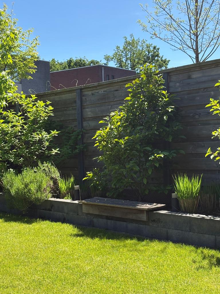Grondspots van Carex 5 stuks, Ophalen, Waterbestendig, Minder dan 50 watt, Overige typen