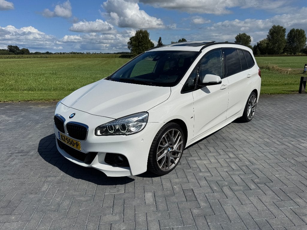 BMW 220i Gran Tourer Centennial High Executive 7-pers., Auto's, 2-Serie Gran Tourer, 7 stoelen, Wit, Bedrijf