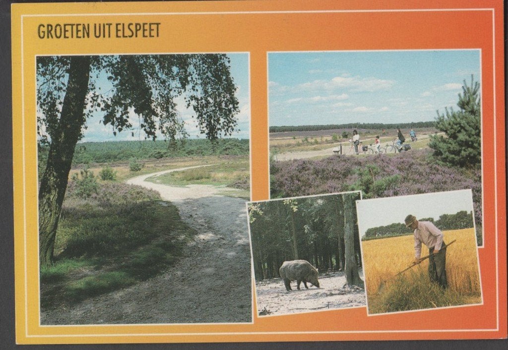 Elspeet 4 luik Natuur Zwijn Boer a/h maaien 1995 Zegel 70 ct, Verzenden, 1980 tot heden, Gelopen, Gelderland