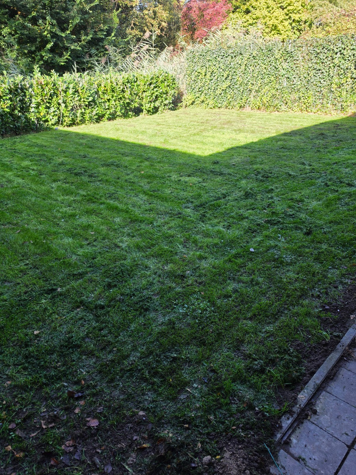 gezocht!! iemand voor nieuwe grasmat, Ophalen of Verzenden, Nieuw, 20 m² of meer, Gras
