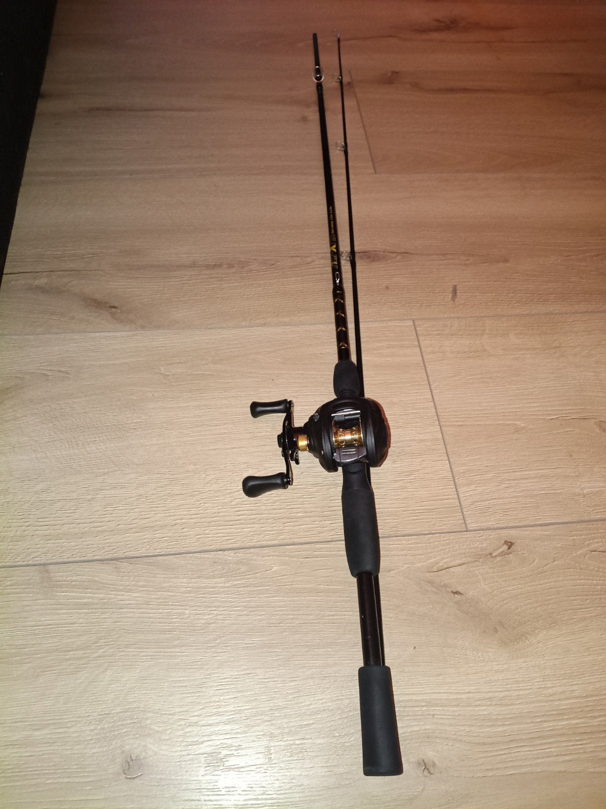 VisXPro Bait Casting Hengel met Molen 1.95m 8-15lbs, Ophalen, Complete set