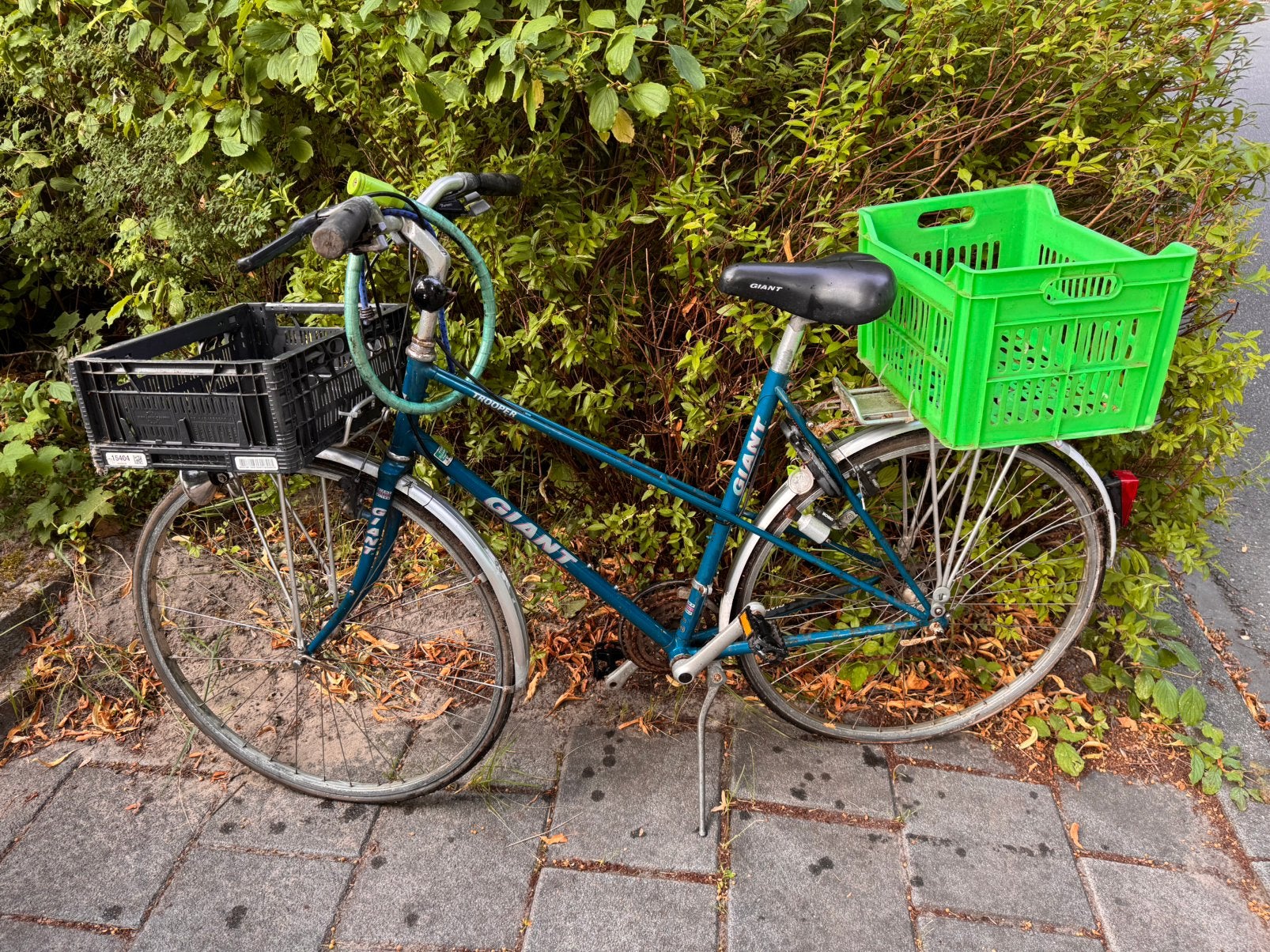 Giant Trooper – vintage damesfiets / trekkingfiets, Ophalen, Gebruikt, Minder dan 10 versnellingen, Giant