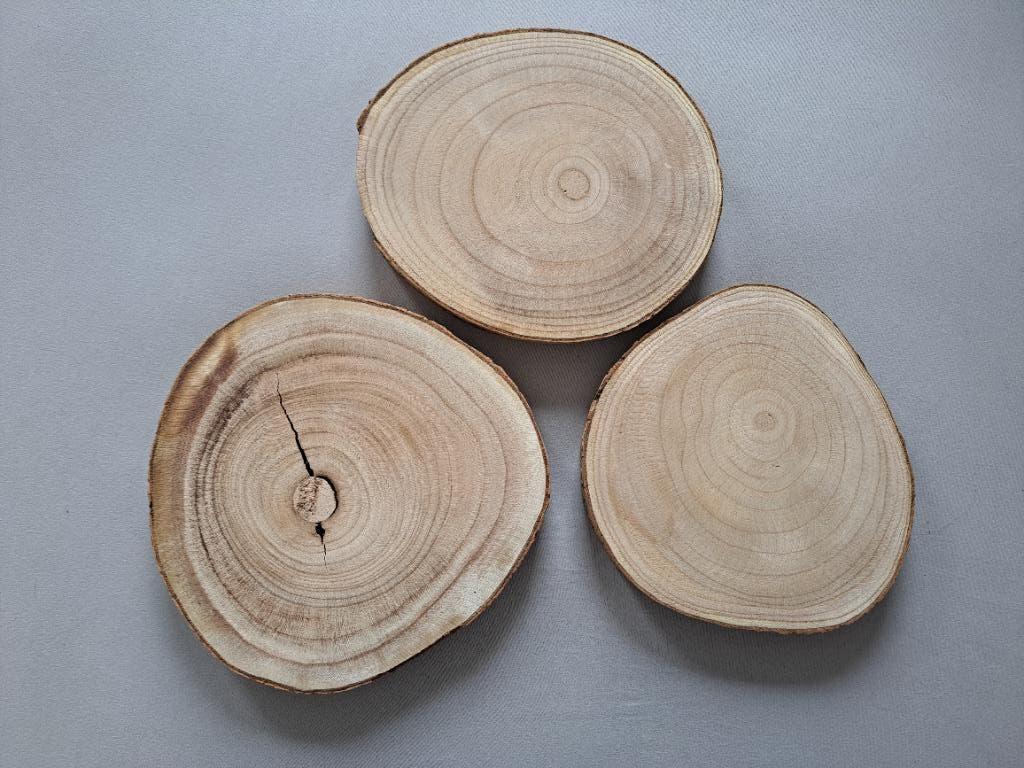 3 boomstamschijven, Ophalen of Verzenden, Zo goed als nieuw, Hout