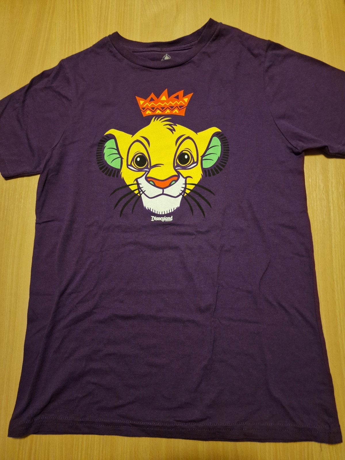 Disneyland shirt, maat zie merk., Ophalen of Verzenden, Zo goed als nieuw, Jongen of Meisje, Shirt of Longsleeve