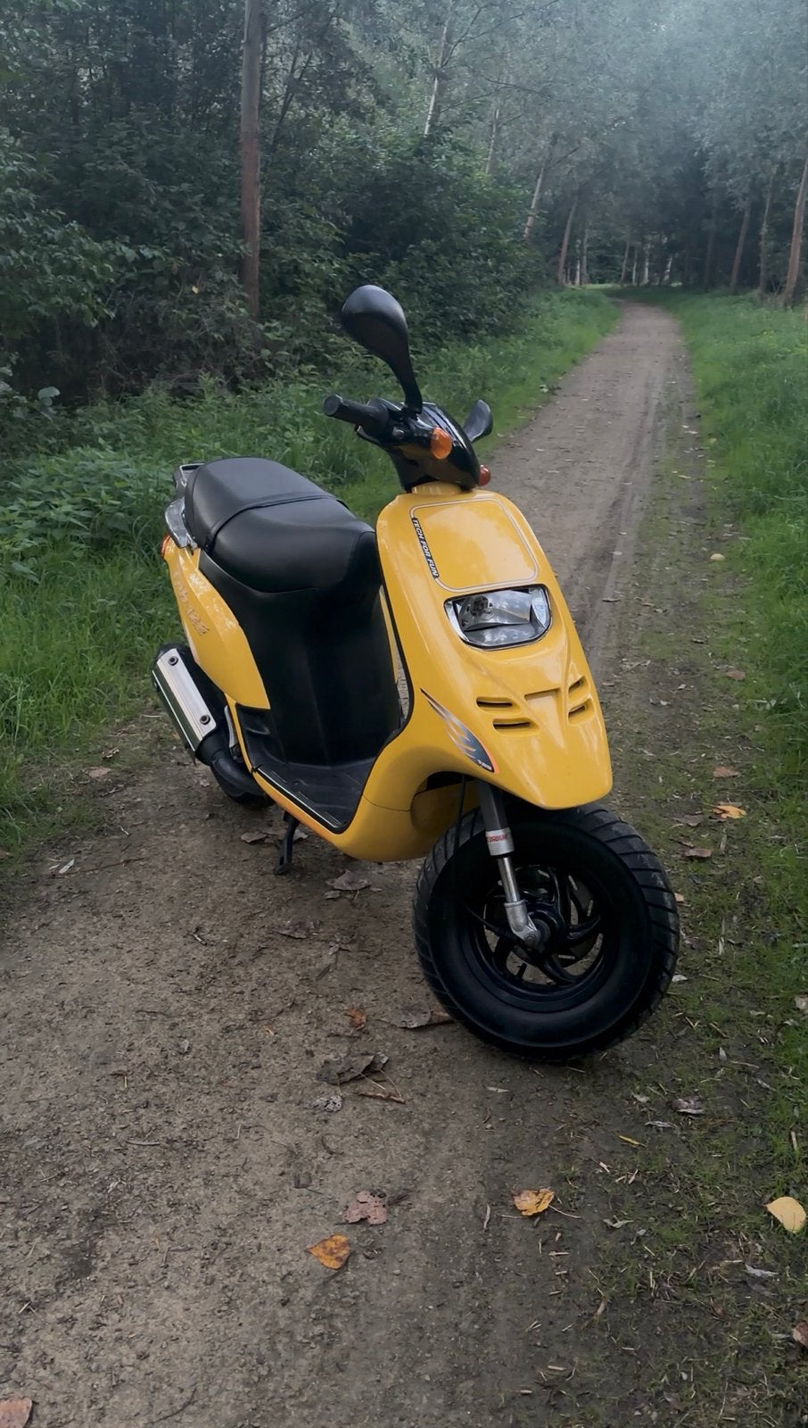 Piaggio Typhoon 125cc Origineel, Fietsen en Brommers, Ophalen, Gebruikt, Benzine, Overige modellen