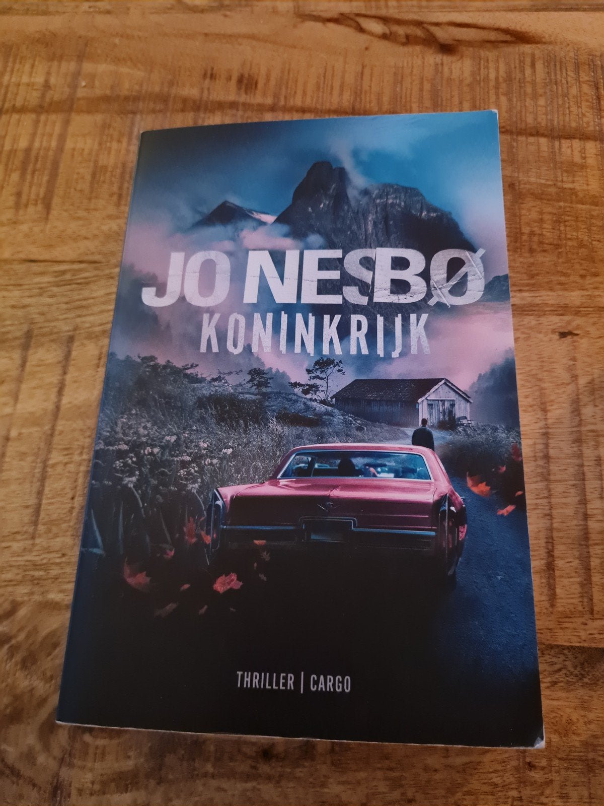 Jo Nesbø - Koninkrijk (Thriller), Boeken, Thrillers, Gelezen, Scandinavië, Ophalen of Verzenden