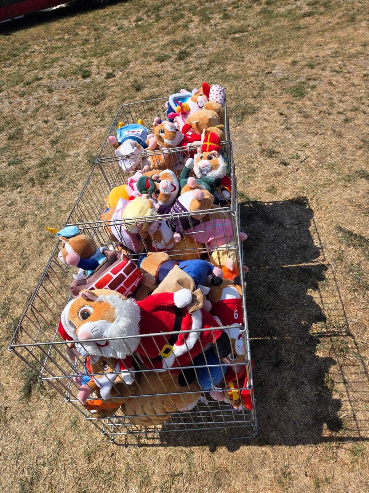88 Albert Heijn Hamsters - lees beschrijving Koopje!, Albert Heijn, Ophalen