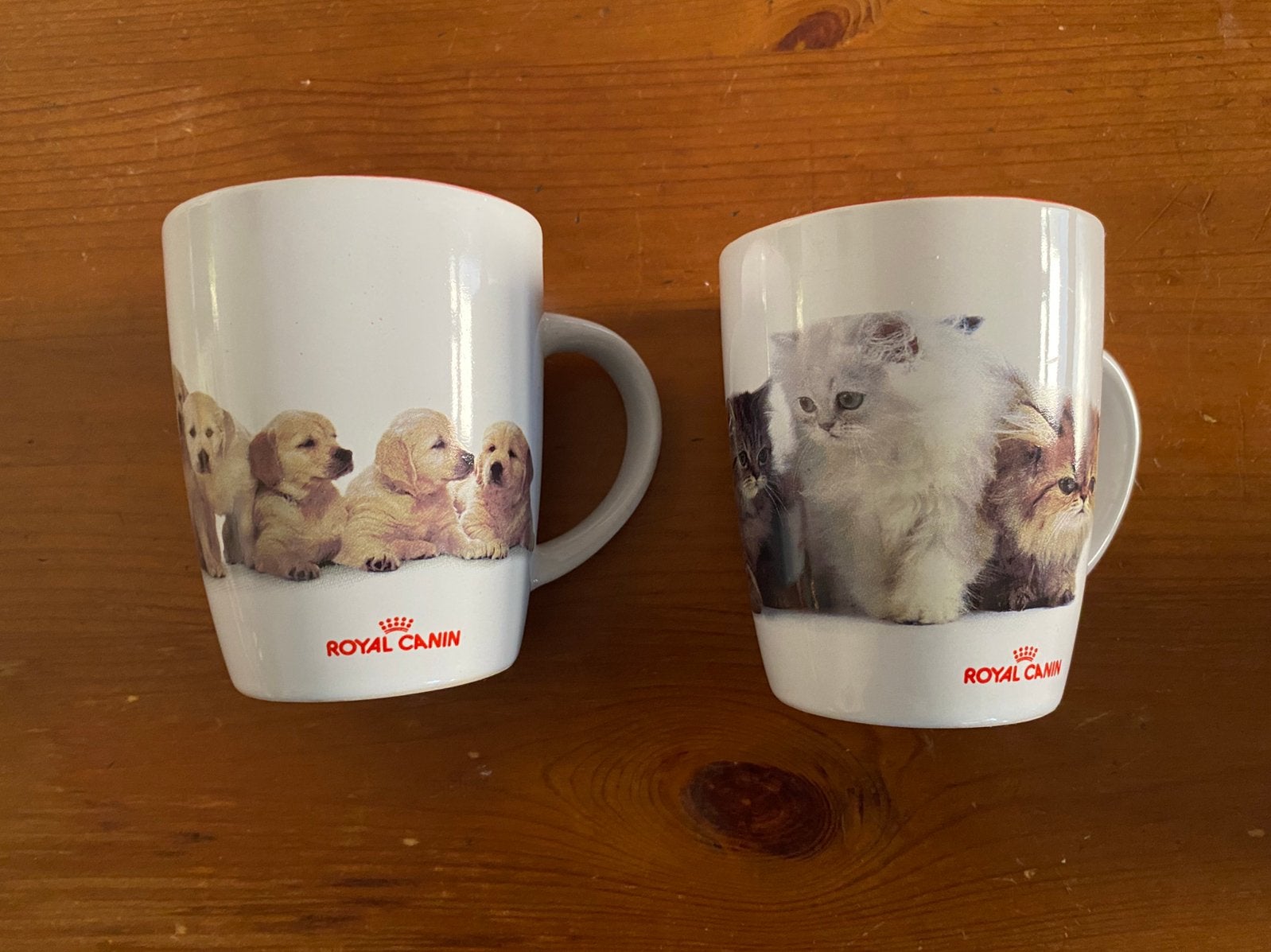 Royal canin koffiekopjes 10 cm hoog, Ophalen, Overige stijlen, Kop(pen) en/of Schotel(s)